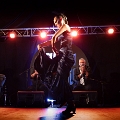flamenco (128)